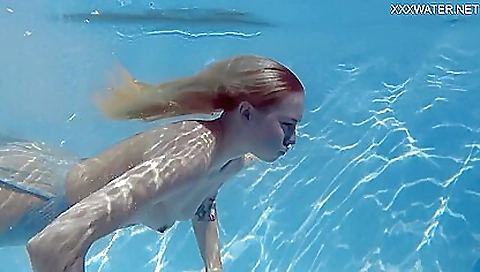 Mocha and alexi meditations